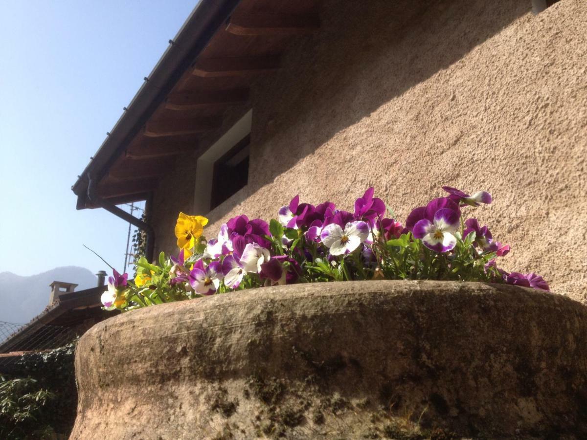 La Tana Del Ghiro Bed & Breakfast Porto Valtravaglia Exterior photo